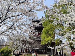 -堤角公园