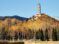 -北坞公园
