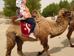 -库伦旗银沙湾旅游景区