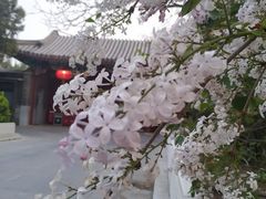 -钓鱼台国宾馆