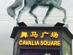 -cavalia·舞马