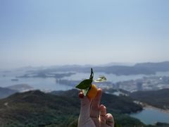 -梅沙尖