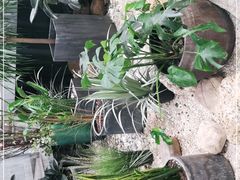 -茶颜悦色(吾悦广场六号门店)