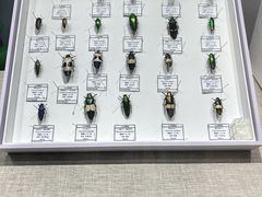 -烟台市博物馆