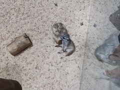 -海合安武汉极地海洋公园