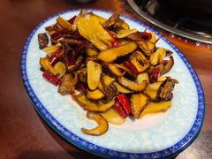 -菌之家·专业纯野生菌火锅·特色炒菌