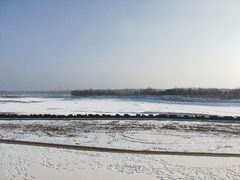 -蒲河岛湿地公园