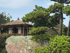 -东莞植物园