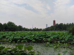 -云龙湖旅游景区