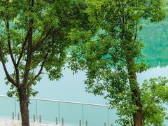 -水濂山森林公园