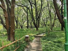 -浙江大学(玉泉校区)