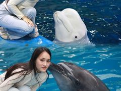 -石林冰雪海洋世界