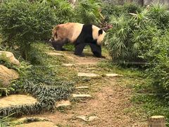 -石排湾郊野公园
