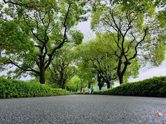 -东湖听涛景区