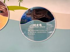 -广州海洋馆