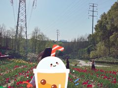 -重庆园博园