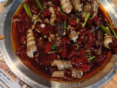 -喝丢一只鞋海鲜烧烤·海肠捞饭(东关街店)