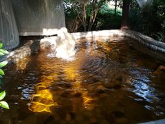 -杭州第一世界大酒店·云曼温泉