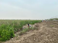 -南汇嘴观海公园