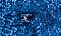 -非凡婚纱婚庆(丽文大道店)