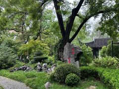 -君庭中餐厅(友谊宾馆店)