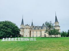 -北京张裕爱斐堡酒庄