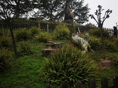 -自贡恐龙博物馆