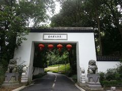 android_upload_pic-东航云逸酒店(九溪烟树店)