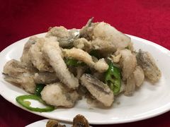 椒盐九肚鱼-蛇口康乐快餐鱼仔档(翠苑小区店)