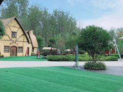 -合肥滨湖国家森林公园