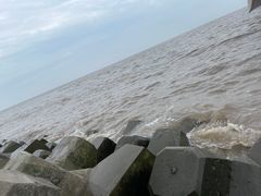 -南汇嘴观海公园