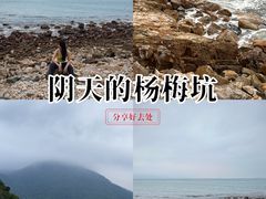 -杨梅坑