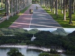 -南宁花花大世界景区