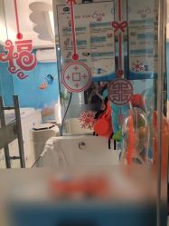 -明昇月子中心(番禺万达广场店)