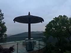 -铁山坪森林公园