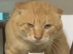 -昆明动物园