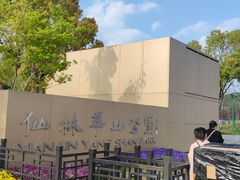 -羊山湖公园