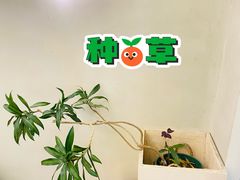 -小团圆糖水铺(襄阳南路店)
