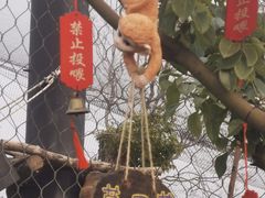 -武汉动物园