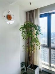 -芊芊若荀·身材管理旗舰店