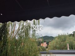 -清雅臻品·竹林院落·新派青岛菜(崂山店)