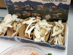 -芸山季·云南山珍菌火锅(南翔印象城MEGA店)