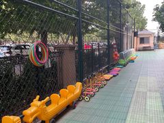 -北京市朝阳区朝花幼儿园(泰福园)