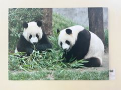 -鸡毛店·川菜(文殊院店)