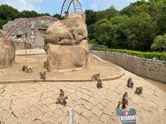 -哈尔滨北方森林动物园