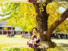 -千年银杏谷文化旅游区