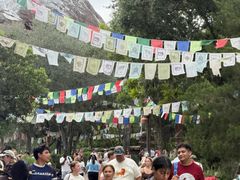 -奥兰多迪士尼动物王国乐园
