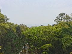 -南山植物园