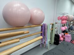 -中央芭蕾舞团·中芭艺蕾(酒仙桥明星校区)