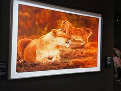 -罗红摄影艺术馆